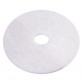 Nilfisk Eco 20″, 508mm disc, white - Pesumati