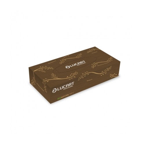 Salvrätikud kosmeetilised Lucart EcoNatural 2x,100lehte pk, 40pk kst - Pesumati Salvrätikud kosmeetilised Lucart EcoNatural 2x,100lehte pk, 40pk kst - Pesumati