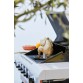 Kanaröster Barbecook 27,5 x 18,5 cm | Pesumati Kanaröster Barbecook 27,5 x 18,5 cm | Pesumati