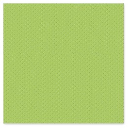 Salvrätik 2P 38x38 Star Apple green (Õuna roheline) 40tk/pk - Pesumati